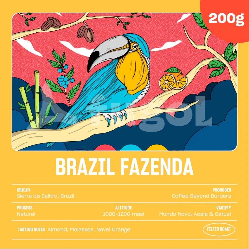 Arabika BRAZIL FAZENDA SANTA MARIA