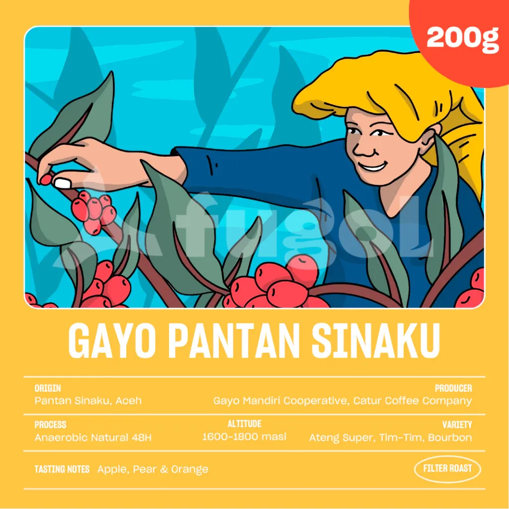 Arabika Gayo Pantan Sinaku