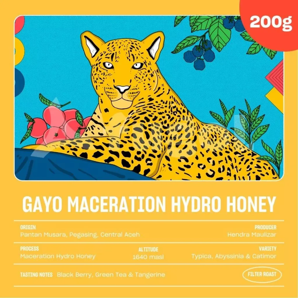 Arabika GAYO MACERATION HYDRO HONEY