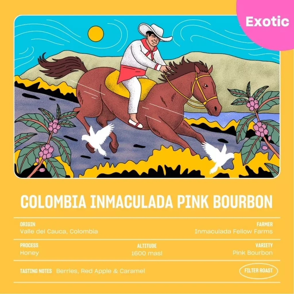 Arabica COLOMBIA INMACULADA PINK BOURBON