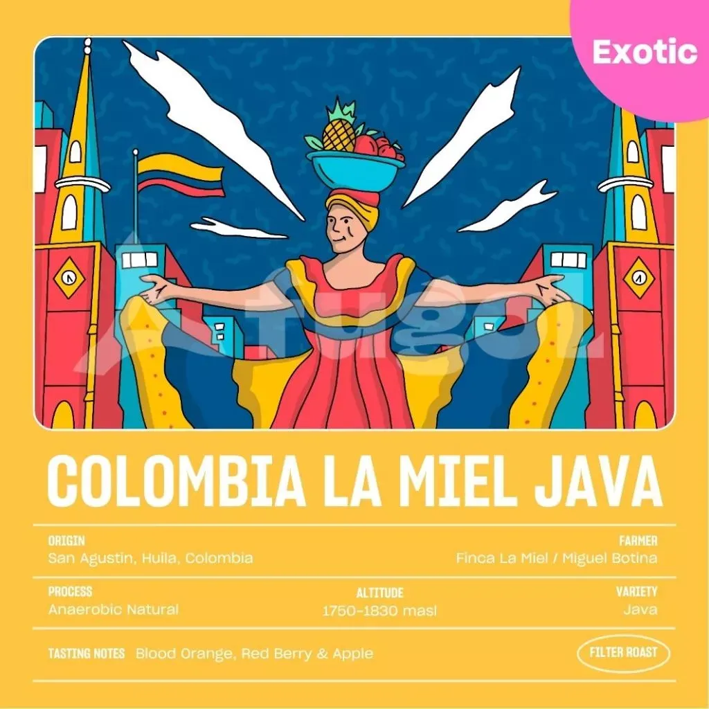 Arabica COLOMBIA LA MIEL JAVA