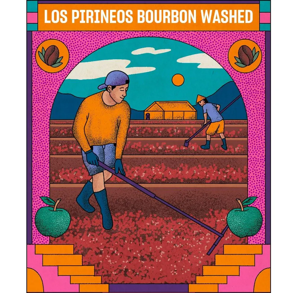 Arabika Los Pirineos Bourbon
