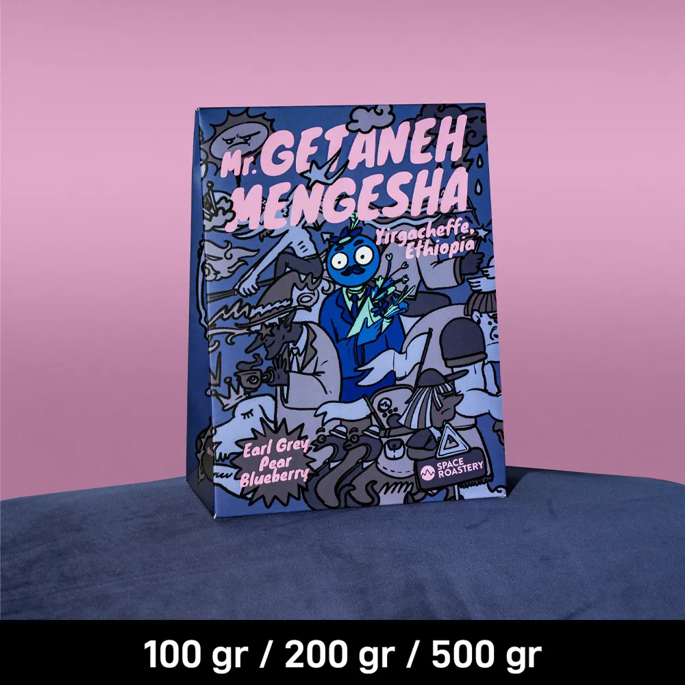 MR. GETANEH MENGESHA