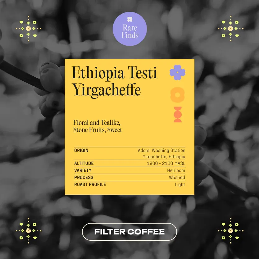 Arabica Ethiopia Testi Yirgacheffe