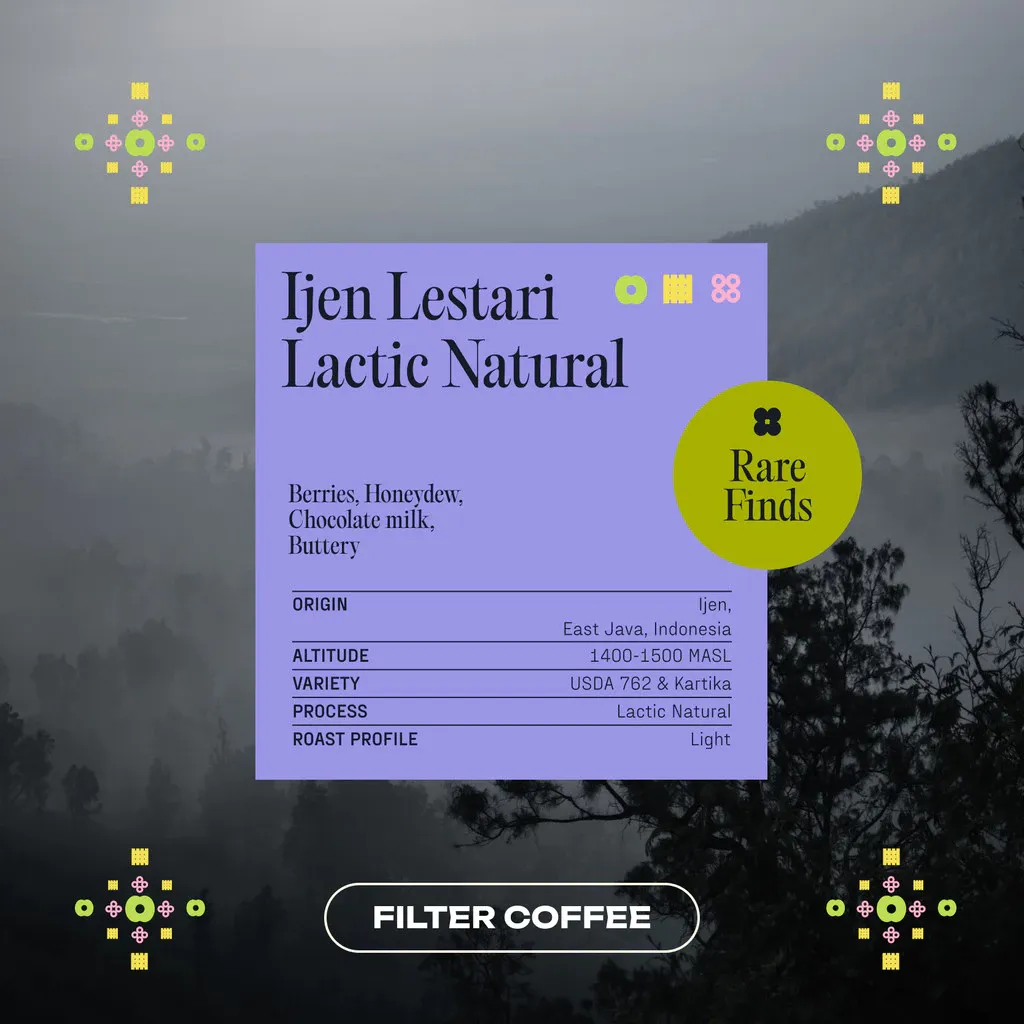  Arabica Ijen Lestari Lactic Natural Filter 