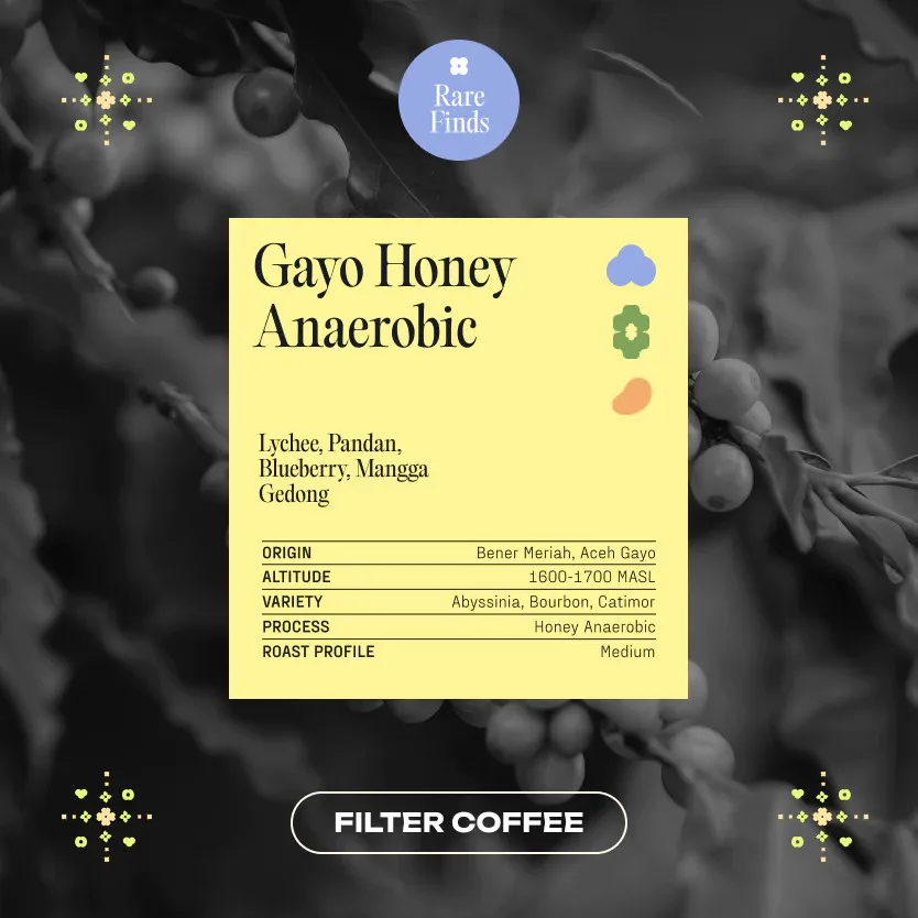 Gayo Anaerobic Honey